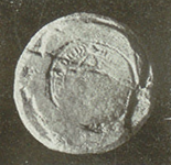 seals-098-1361-pedro_iv.png