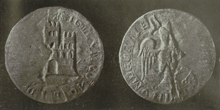 seals-255-1282-andujar.png