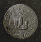 seals-267-xxxx-gallipienzo.png