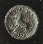 seals-288-1217-teruel.png