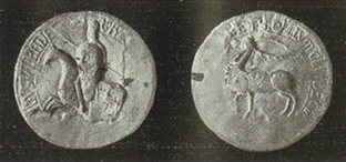 seals-310-1220-guillermo_de_cervera.png