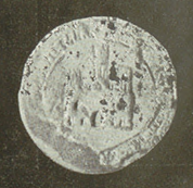 seals-338-1261-pedro_guzman.png