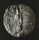 seals-347-1263-aldara_macias.png