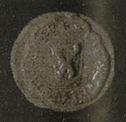 seals-352-1238-pedro_martin.png