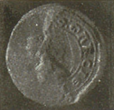 seals-372-1262-garcia_perez_de_castalia.png