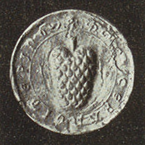 seals-377-1244-galceran_de_pinos.png